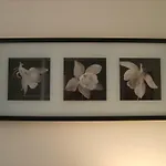 別荘 Il Teatro *